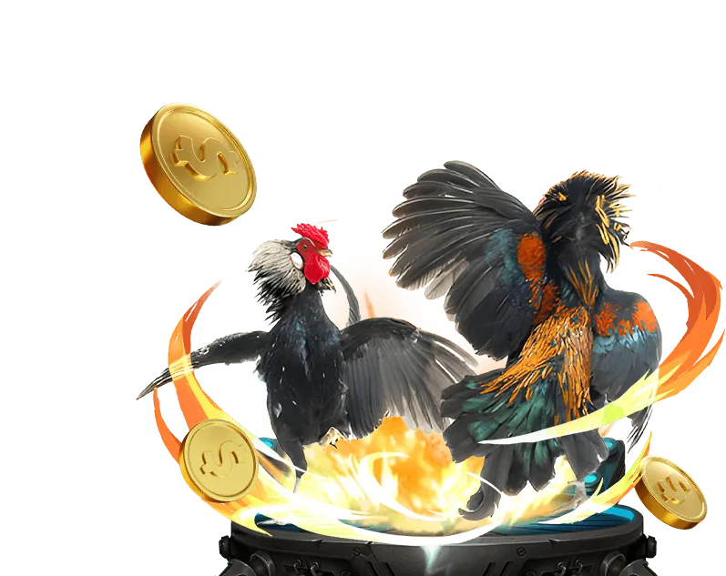 Tính năng nổi bật ứng dụng 555win