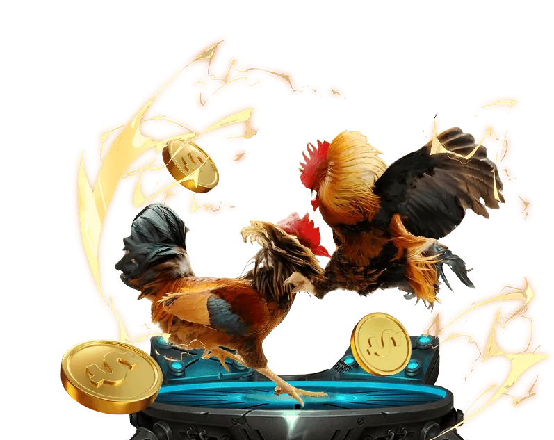 Dịch vụ hỗ trợ khách hàng 555win